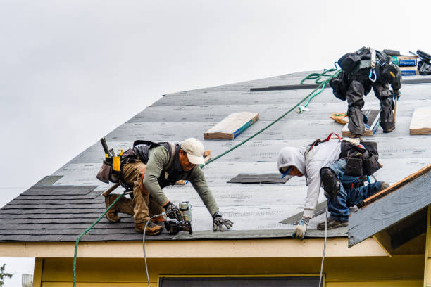 Professional Storm Damage Roof Repair technician working in Center Cross, VA